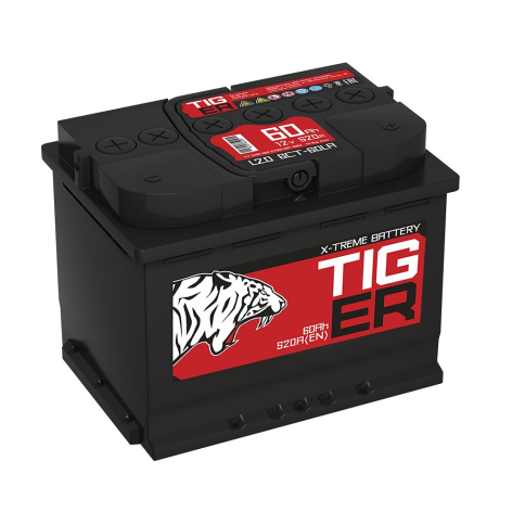 фото Аккумулятор TIGER 60 обр (L2.0, Красный, AL)
