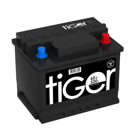 фото Аккумулятор TIGER 60 обр (L2.0, Черный, AK)