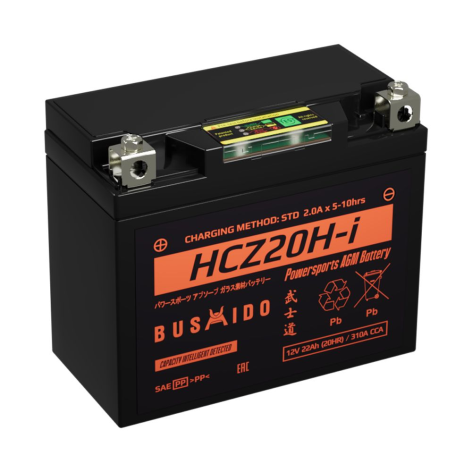 фото Мото BUSHIDO HCZ20H-i (22Ah)