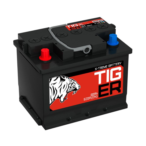 фото Аккумулятор TIGER 60 пр (L2.1, Красный, KN)