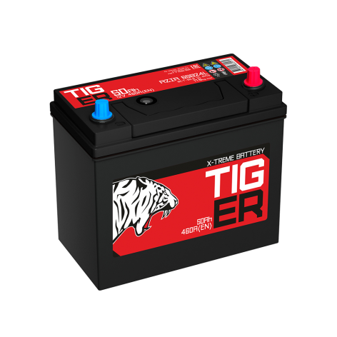 фото Аккумулятор TIGER  50 обр (65B24L, Красный, KN)