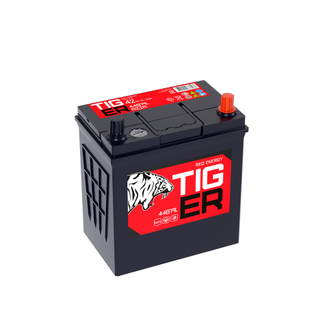 фото Аккумулятор TIGER Red Energy  42 обр (44B19L, PS)