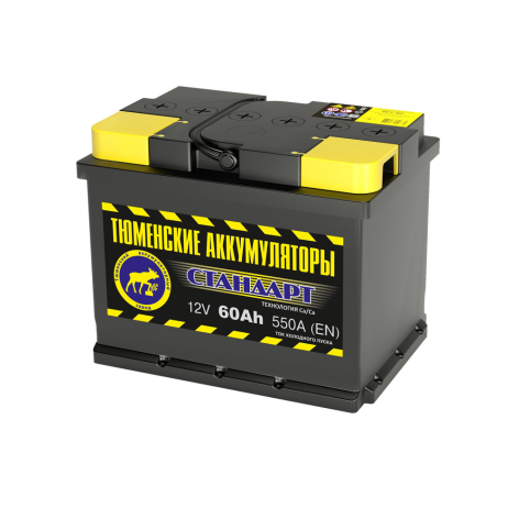 фото Аккумулятор ТАЗ Standard 60 обр (L2.0)