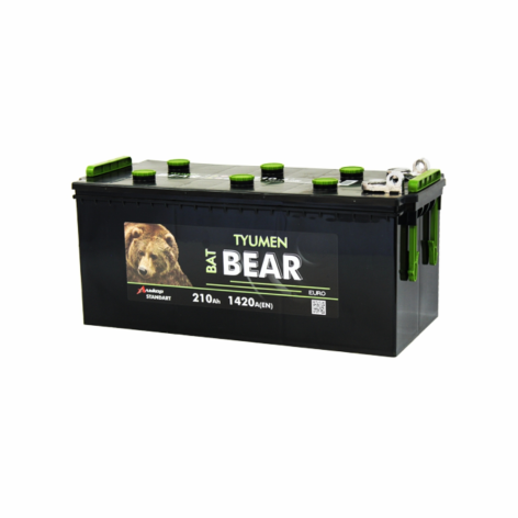 фото Аккумулятор TYUMEN BatBear   210 пр (ruB.4, болт)