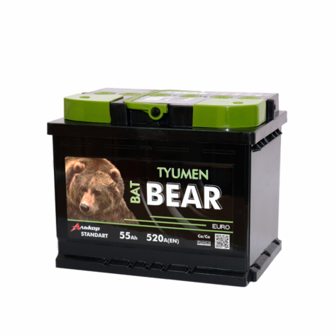 фото TYUMEN BatBear 55 пр (L2.1)