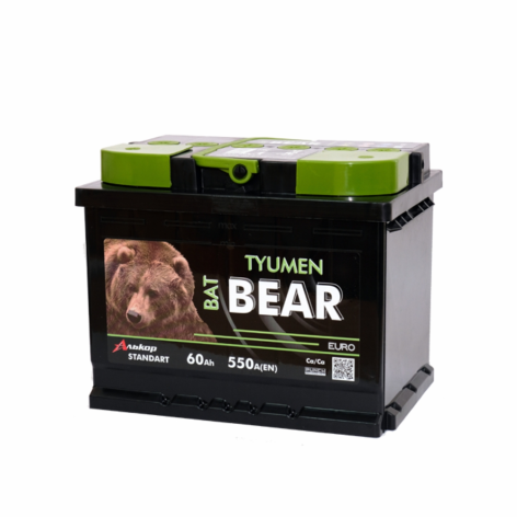 фото TYUMEN BatBear 60 пр (L2.1)