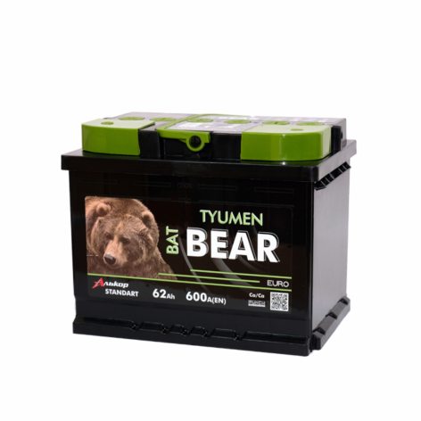 фото TYUMEN BatBear 62 обр (L2.0)