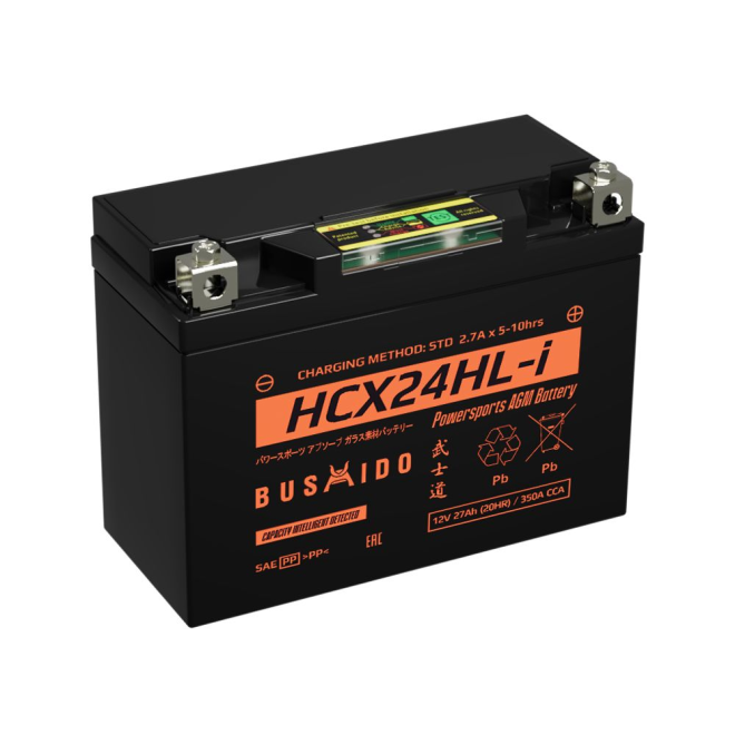 Мото BUSHIDO HCX24HL-i (27Ah)