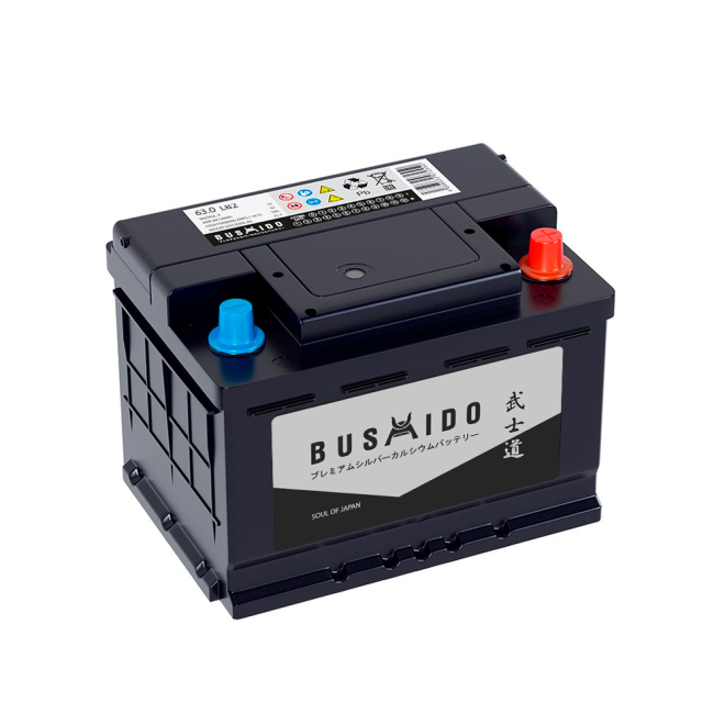 Аккумулятор BUSHIDO SJ 63 обр (LB2.0, низк, HO)