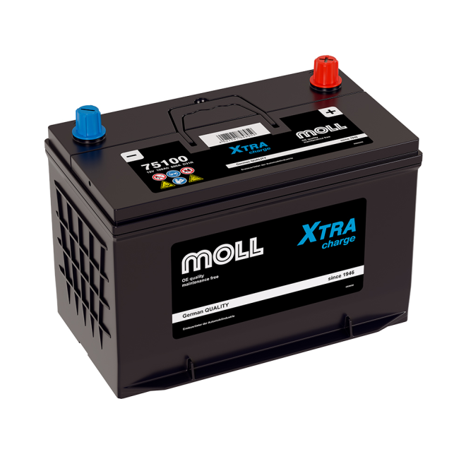 Аккумулятор MOLL XTRA CHARGE  100 пр (D31R, 75100)