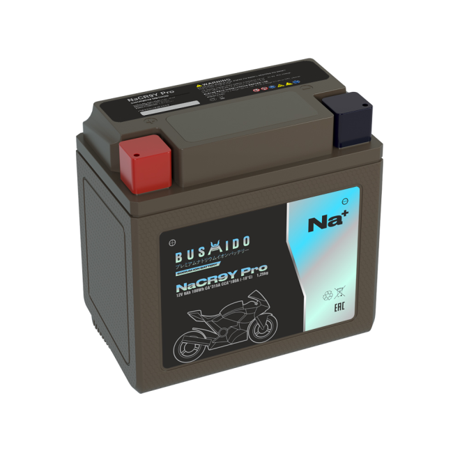 Мото BUSHIDO NaCR9Y pro (YB9-BS, 9Ah) пр